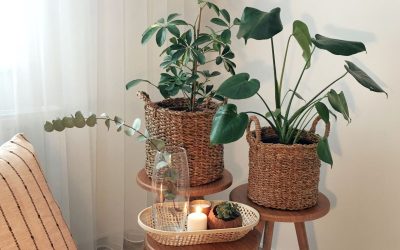 La décoration invisible : quand les objets disparaissent !