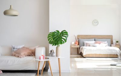 Quand les plantes parlent : la psychologie des végétaux dans nos intérieurs