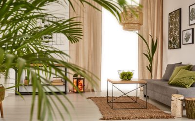 Déco et Psyché : Comment Votre Intérieur Révèle Vos Secrets Inavoués