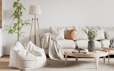 Ces plantes d&rsquo;intérieur qui pourraient bien être en train de vous espionner !