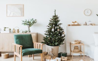Décorations Impensables : Comment Hollywood Influe sur Votre Salon Sans que Vous le Sachiez